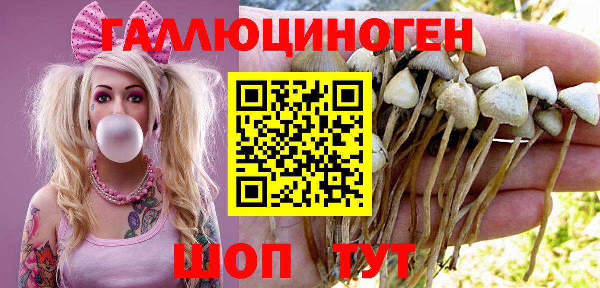 Галлюциногенные грибы ЛСД  Вход с VPN  Псилоцибиновые грибы Psilocybine cubensis  Кировск 