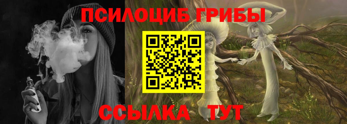 Псилоцибиновые грибы GOLDEN TEACHER Кировск